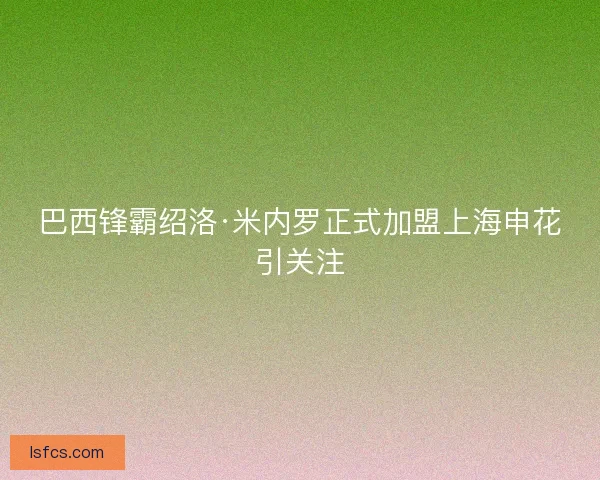 巴西锋霸绍洛·米内罗正式加盟上海申花引关注