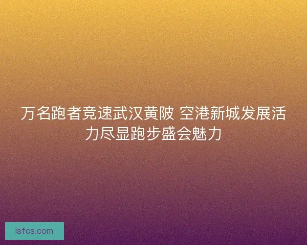 万名跑者竞速武汉黄陂 空港新城发展活力尽显跑步盛会魅力